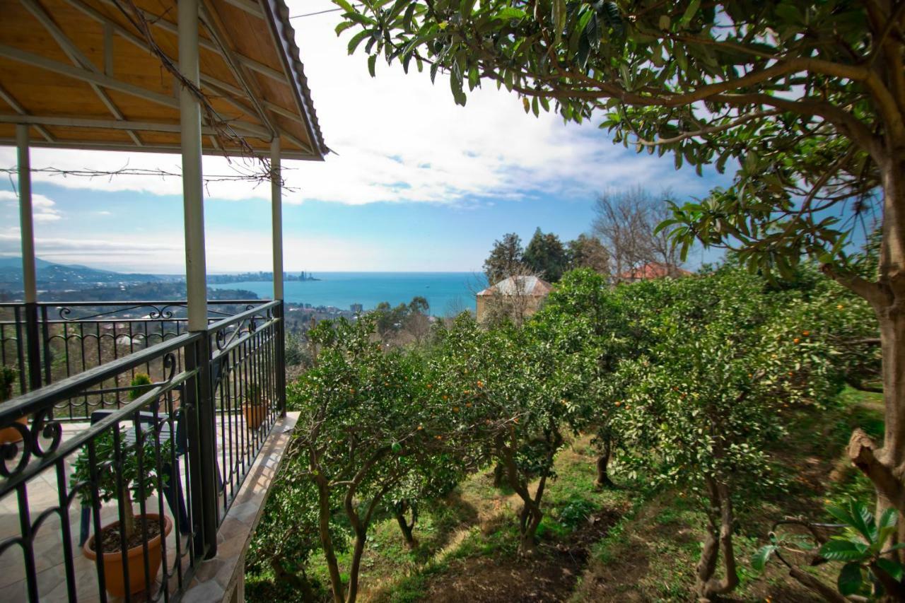 Guesthouse Mtsvane Koncxi 22 姆兹瓦内康茨基 外观 照片